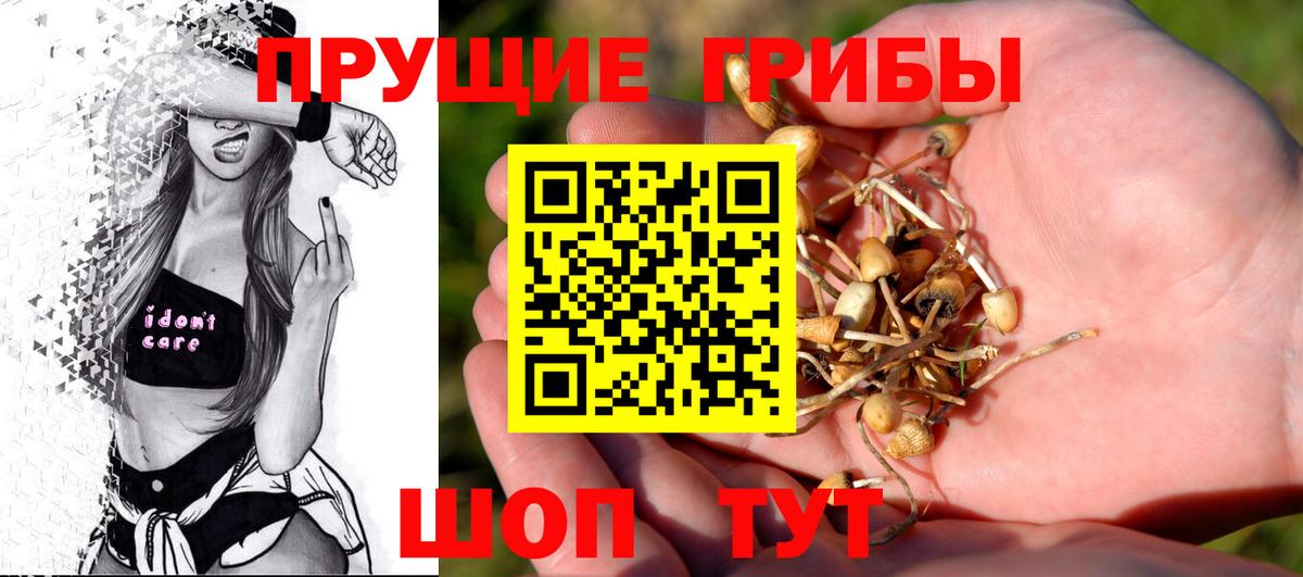 Нижний Тагил  Галлюциногенные грибы мицелий  Вход с VPN  Псилоцибиновые грибы MAGIC MUSHROOMS 