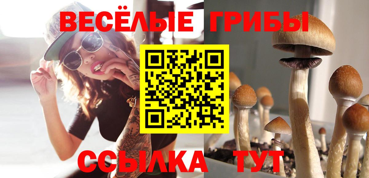 Галлюциногенные грибы Cubensis Нижний Тагил